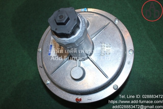 FRS 515 Dungs (8)